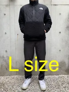 新品 NORTH FACE ノースフェイス フリース ハーフジップ メンズ L