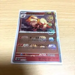 ウインディ マスターボール