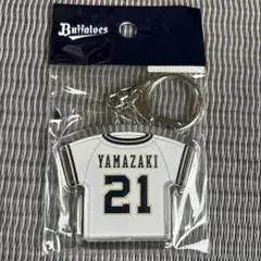 Item thumbnail for item 65a4c82f-b30a-4bb0-8fe0-9628104f0866