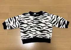 Item thumbnail for item f98a308c-372e-4858-9035-e9e321b46805