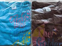 Item thumbnail for item 4de44acd-18ba-43d0-8d4c-fb8b2a32534c