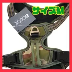 Item thumbnail for item fb7b9d4f-9528-4d84-92d8-c297d9911a14