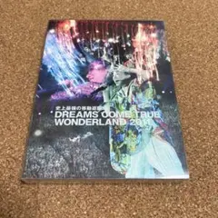 DREAMS COME TRUE ワンダーランド 2011 Blu-ray 初回