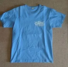 Item thumbnail for item d36b4a5e-394f-4de0-b37e-1a24c253e070