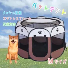 Item thumbnail for item 10cc8c49-7824-4b92-94fc-828c4275761c