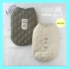 Item thumbnail for item b1e297cd-9c69-408b-a0e9-158cdcef338d