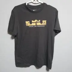 NIKE ナイキ レブロン・ジェームズ ドライフィット ロゴ 半袖Tシャツ