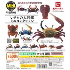 いきもの大図鑑ミニコレクション 甲殻類01 全7種　コンプ