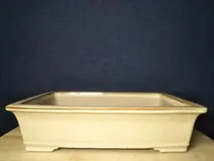 盆栽鉢 寺畑真山 未使用品 早い者勝ち