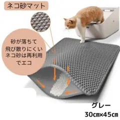 Item thumbnail for item 10f2143b-f016-48fc-9120-5d8be3cd3a6c