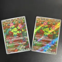 マラカッチ　さくれつばり　101/100 AR 2枚セット！