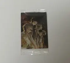ウィンブレ ウエハース 未開封