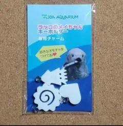 鳥羽水族館 ラッコ メイちゃんキーホルダー 専用チャーム 三重県