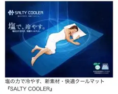塩の力で冷やす、新素材・快適クールマット『SALTY COOLER』