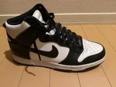 NIKE DUNK ナイキ　ダンク　ハイ　ハイカット　スニーカー