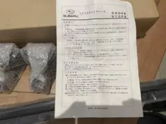 Item thumbnail for item 96717a1b-d25d-4725-8bd8-af223a75777e