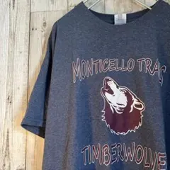 MONTICELLO TRAILS TIMBERWOLVES Tシャツ ウルブズ