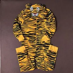 Item thumbnail for item 24aa817e-024c-4b6f-9933-36571363f872