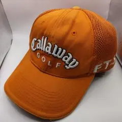 Item thumbnail for item 41707b5c-fbba-4f1e-a42f-8ccdf6335e51