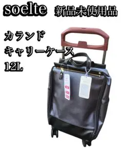 soelte　ソエルテ　キャリーバッグ　中古 soelte 最大46%☆8/24まで ソエルテ キャリーバッグ マルメ お