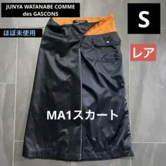 Item thumbnail for item 36cbdbd4-12ce-4659-b9f9-fb6dcbc5f48c