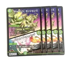 キャベッジセッションズ　ソイルピンプキャベッジ　5枚