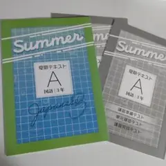 中3国語 夏期テキストA(基礎編)＋テスト集 教育開発出版 未使用品 送料無料！