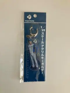 日本ハム ファイターズ 伊藤大海 20th記念 25分の1アクリルキーホルダー
