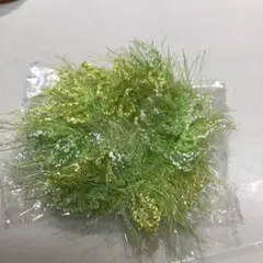 Item thumbnail for item b1a45b1e-ec2b-4dda-a89e-388bef221b60