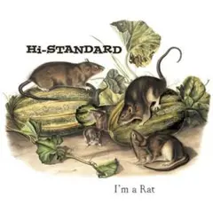 新品未開封 Hi-STANDARD I'm a Rat レコード 7インチ