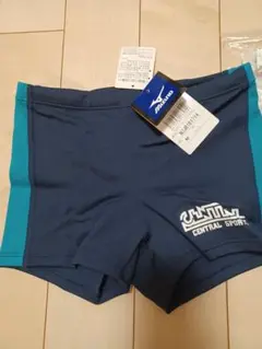 Item thumbnail for item 7e011904-c7d0-452d-ba6a-c3765f66610c