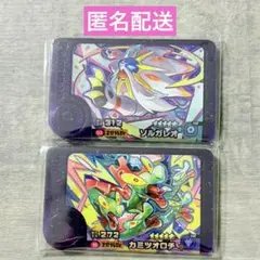 【匿名配送】ソルガレオ　カミツオロチ　ポケモンフレンダ　ベストタッグ１弾