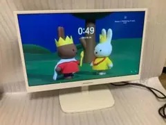 プリンストンPTFWDE-22W 21.5インチモニター 1920x1080対応