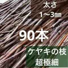 ケヤキの枝（超極細）欅の枝　切り枝　木の枝 　天然木　工作等に　90本以上