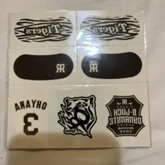 阪神タイガース TBDSアイブラックシール 　大山選手