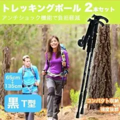 (2本セット/黒T型) 登山 トレッキング ポール ノルディック 49ZA