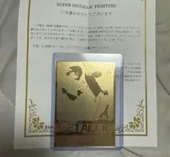 匿名即日発送　水谷瞬　SUPER METALLIC FIGHTERS 新品