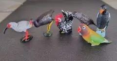 海洋堂　チョコエッグ　鳥フィギュア　6種