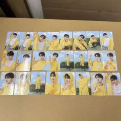 タレントカードセット 24枚