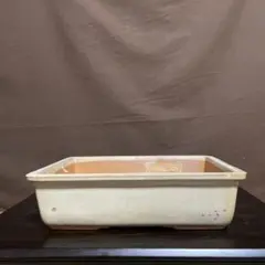 盆栽鉢 古盆器 時代鉢 植木鉢 観葉植物 山野草 常滑焼 白 クリーム