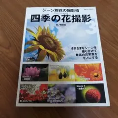 四季の花撮影 3　田ノ岡哲哉