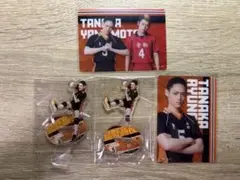 Item thumbnail for item 13c2a348-d403-47d0-91db-52a14e1a97f4