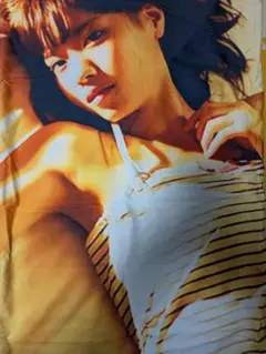 〔期間限定販売〕180　西野七瀬　両面抱き枕カバー　90×45cm　未使用品 く日はお得♪ 372 | Amazon 西野七瀬他 90×45cm 両面抱き枕