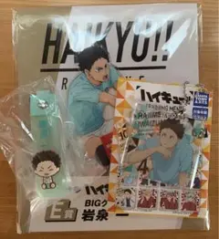 ハイキュー!!岩泉一 まとめ売り