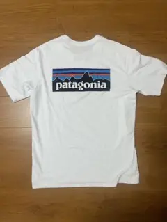 patagonia ホワイト Tシャツ バックプリント