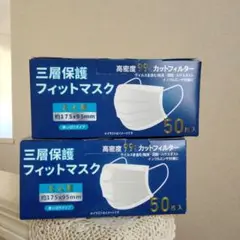 不織布マスク 大人用 フィットマスク 2箱 (1箱50枚入り)