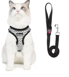 Item thumbnail for item 11ccf624-930d-491f-8af1-fbf2870a0cdb