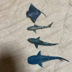 魚、フィギュア