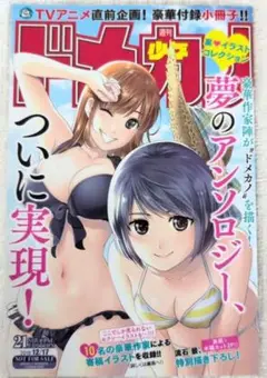 ドメスティックな彼女 特典