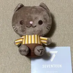 SEVENTEEN ホシ　ぬいぐるみ